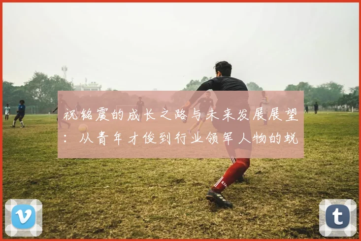 祝铭震的成长之路与未来发展展望：从青年才俊到行业领军人物的蜕变