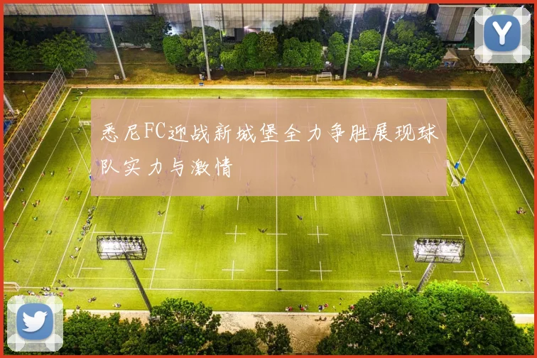 悉尼FC迎战新城堡全力争胜展现球队实力与激情