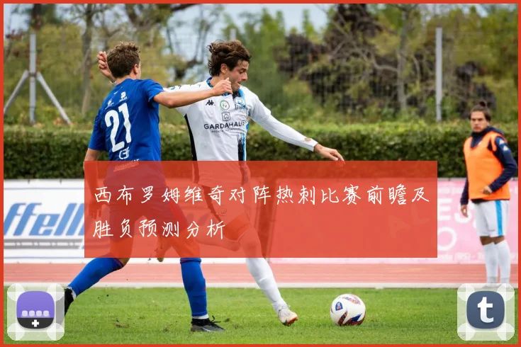 西布罗姆维奇对阵热刺比赛前瞻及胜负预测分析