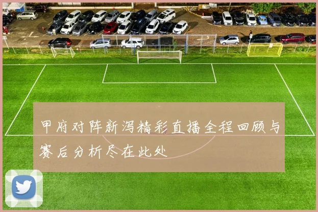 甲府对阵新泻精彩直播全程回顾与赛后分析尽在此处