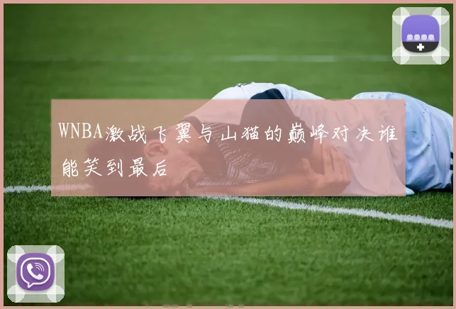 WNBA激战飞翼与山猫的巅峰对决谁能笑到最后