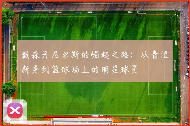 戴森丹尼尔斯的崛起之路：从青涩新秀到篮球场上的明星球员