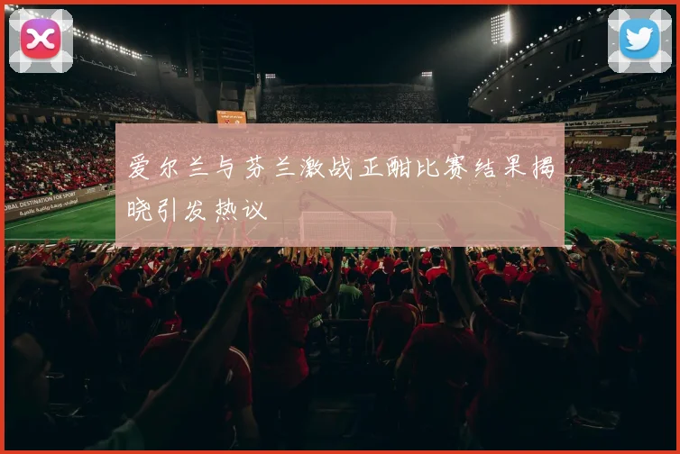 爱尔兰与芬兰激战正酣比赛结果揭晓引发热议
