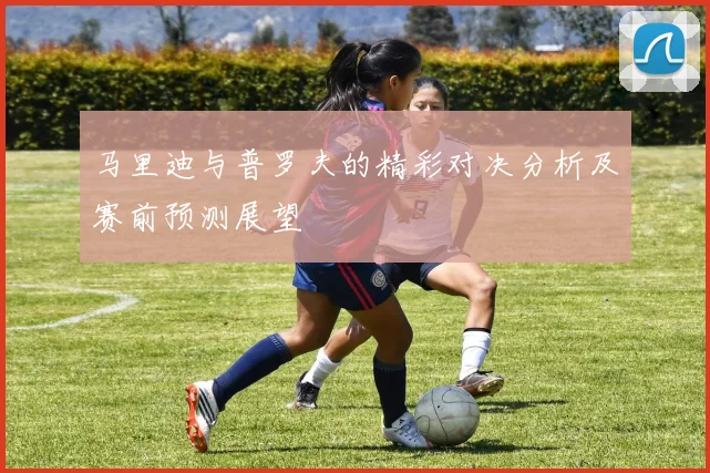 马里迪与普罗夫的精彩对决分析及赛前预测展望